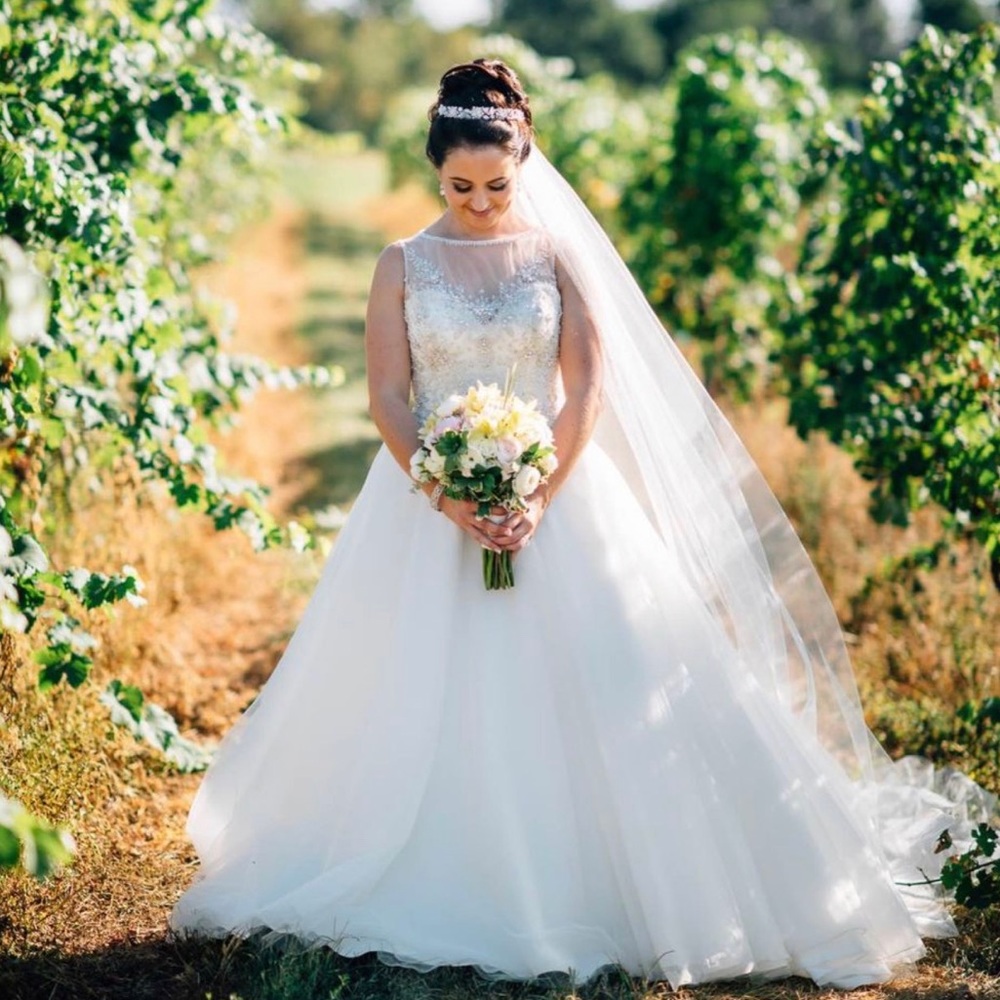 Pronovias Barcelona ballgown - Picture 7 of 8